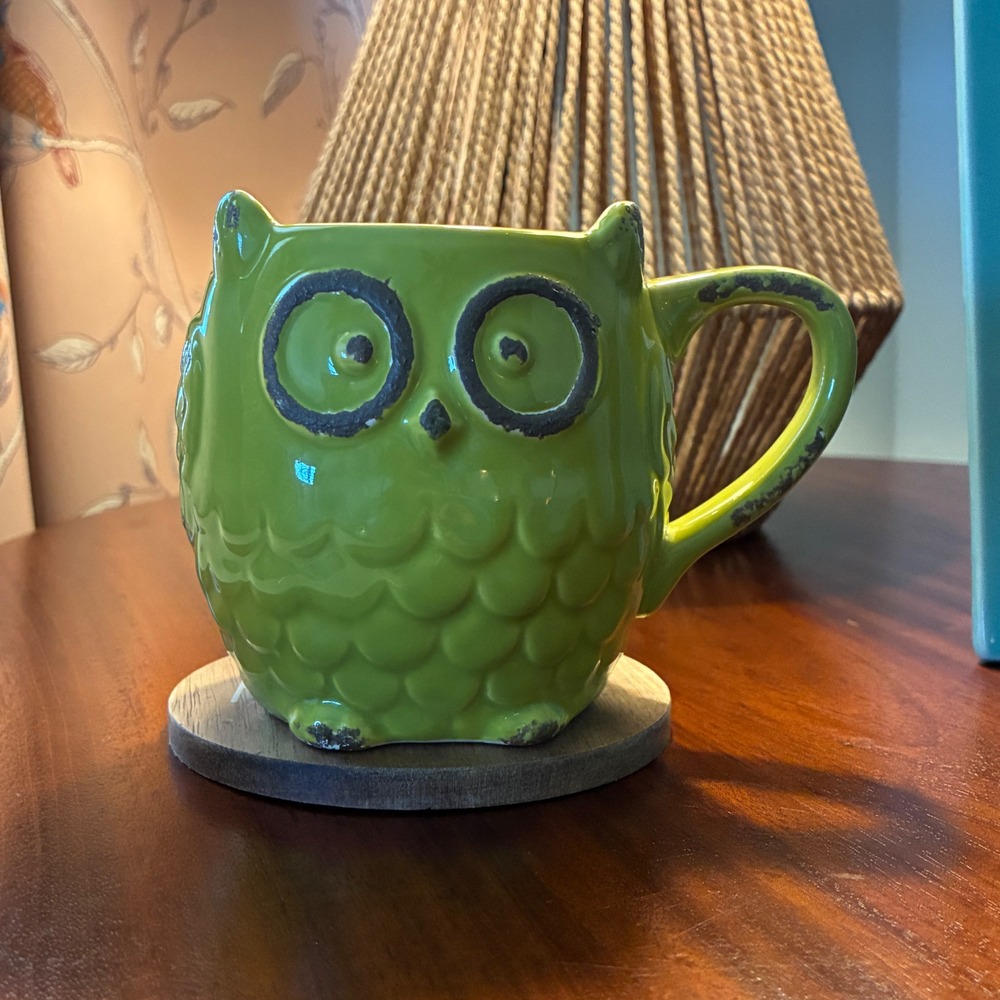Rustic Owl‎ Mug Green Coffee Cup Kitchen Decor